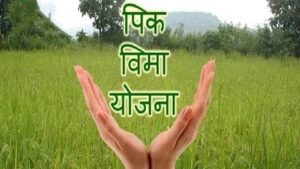 एक रुपयात पीकविमा