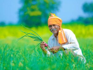 शेतकऱ्यांसाठी पीक कर्ज योजना शिबीर – अहमदनगर 2025